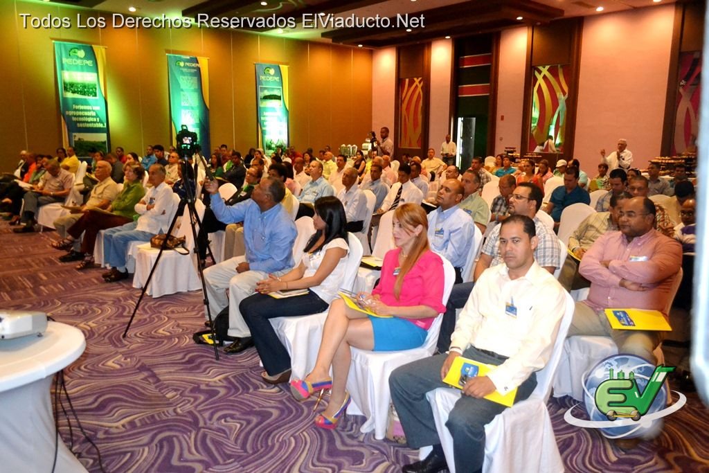 Presentes en el 6to Seminario PEDEPE 2013